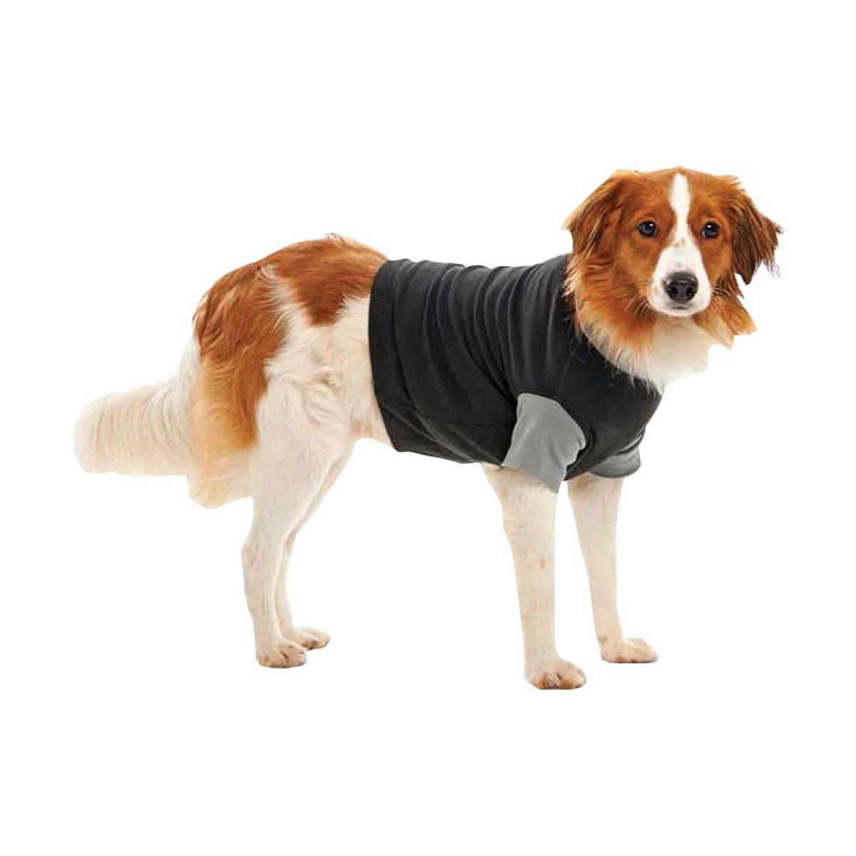 BODY CHIEN 25 CM XXXS