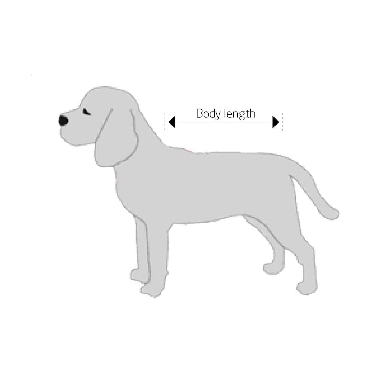 BODY CHIEN 25 CM XXXS