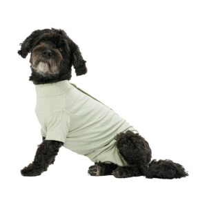 BODY CHIEN STEP'N GO GREEN XS
