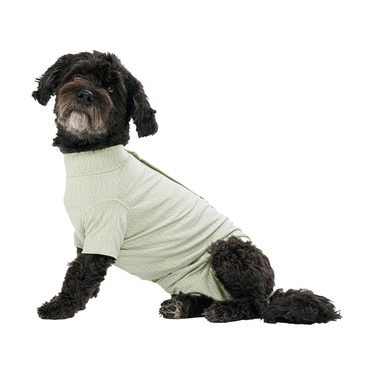 BODY CHIEN STEP'N GO GREEN XS