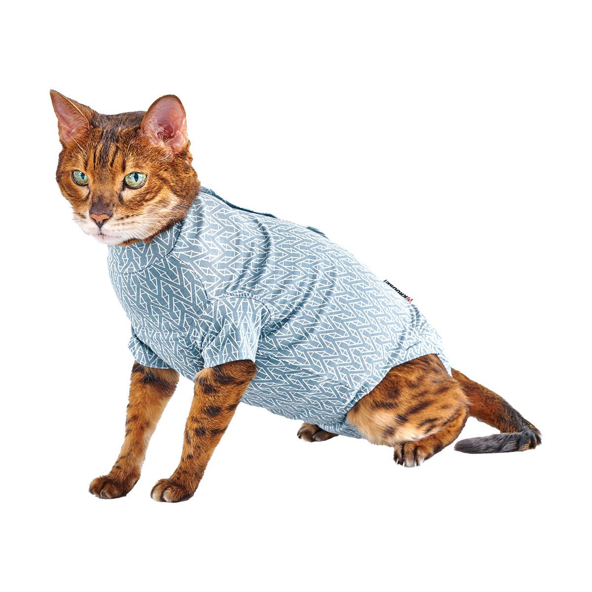 BODY STEP'N GO CHAT XXXS