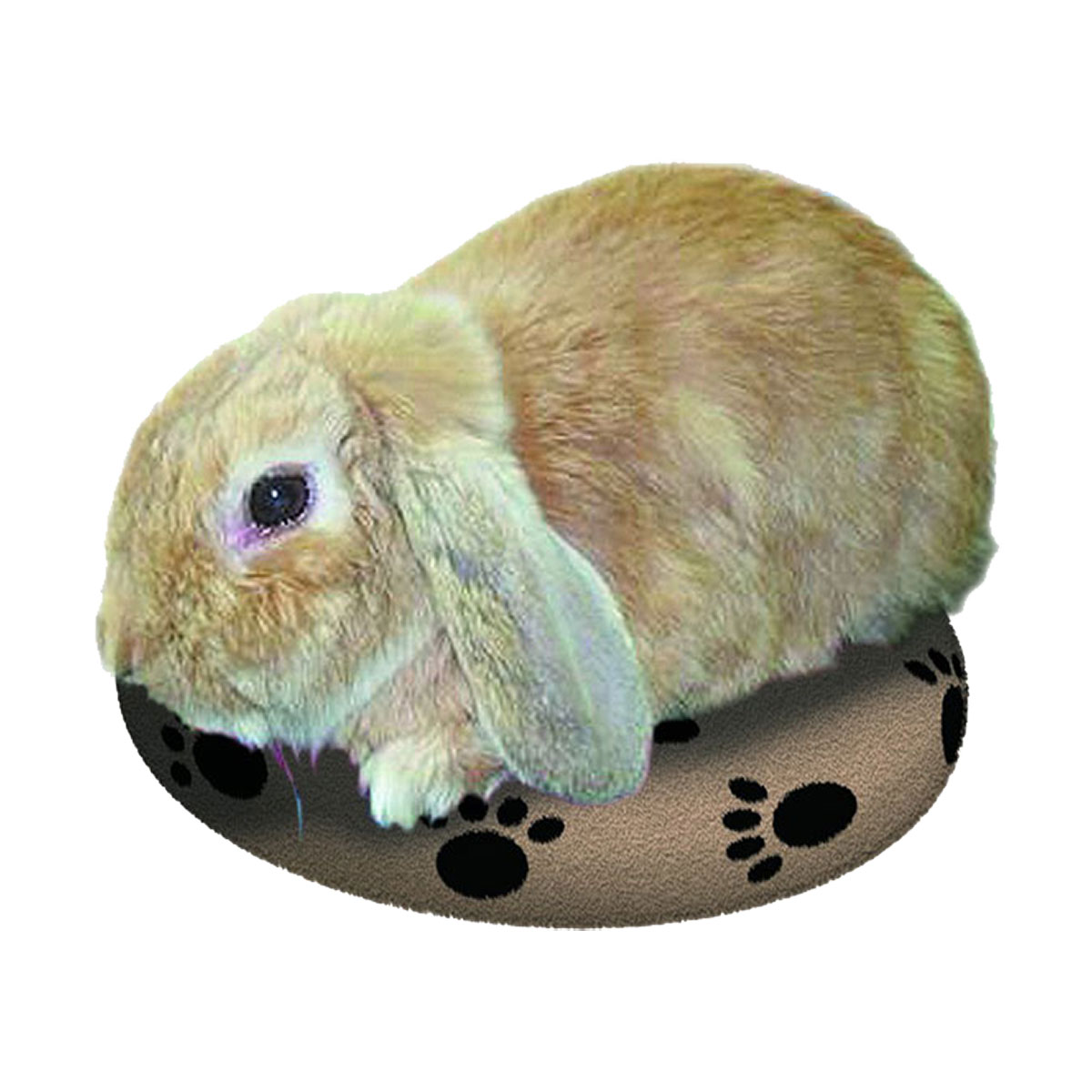 BOUILLOTTE SNUGGLESAFE NAC