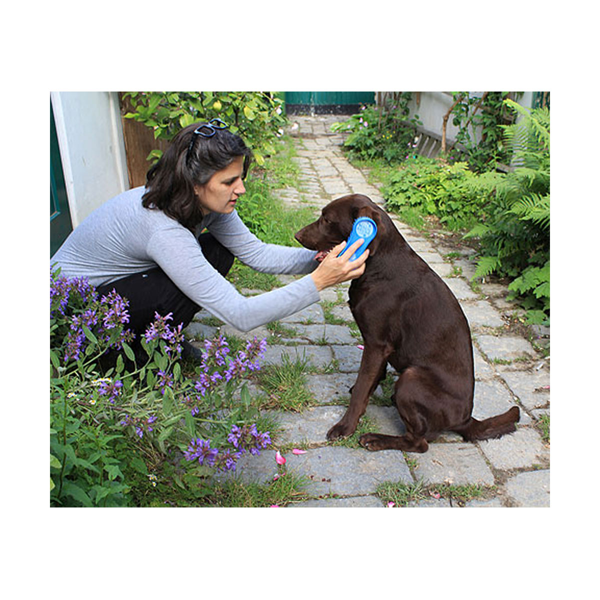 BROSSE MAGICBRUSH BLEU