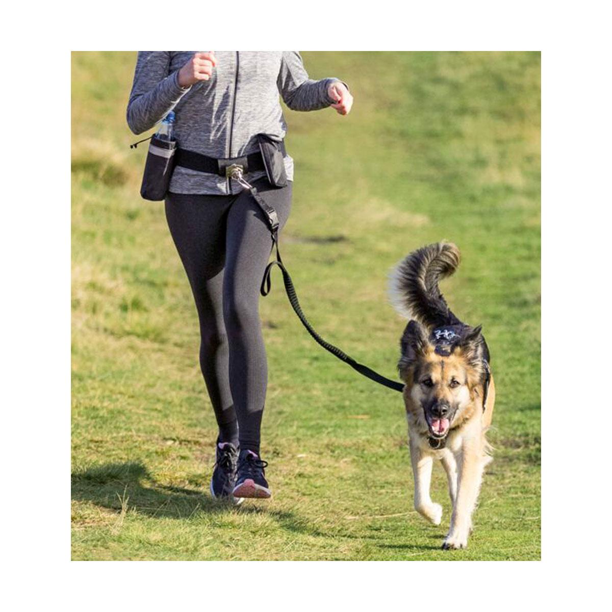 CEINTURE JOGGING AVEC LAISSE