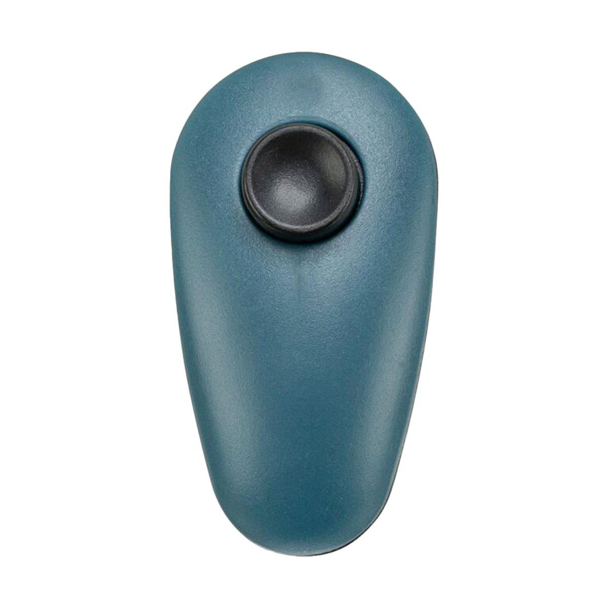 CLICKER DRESSAGE