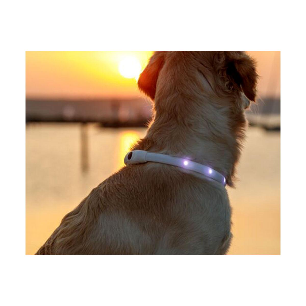 COLLIER ANNEAU LUMINEUX FLASH USB