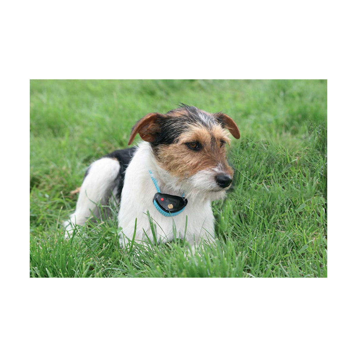 COLLIER ANTI ABOIE.CANICALM SPRAY