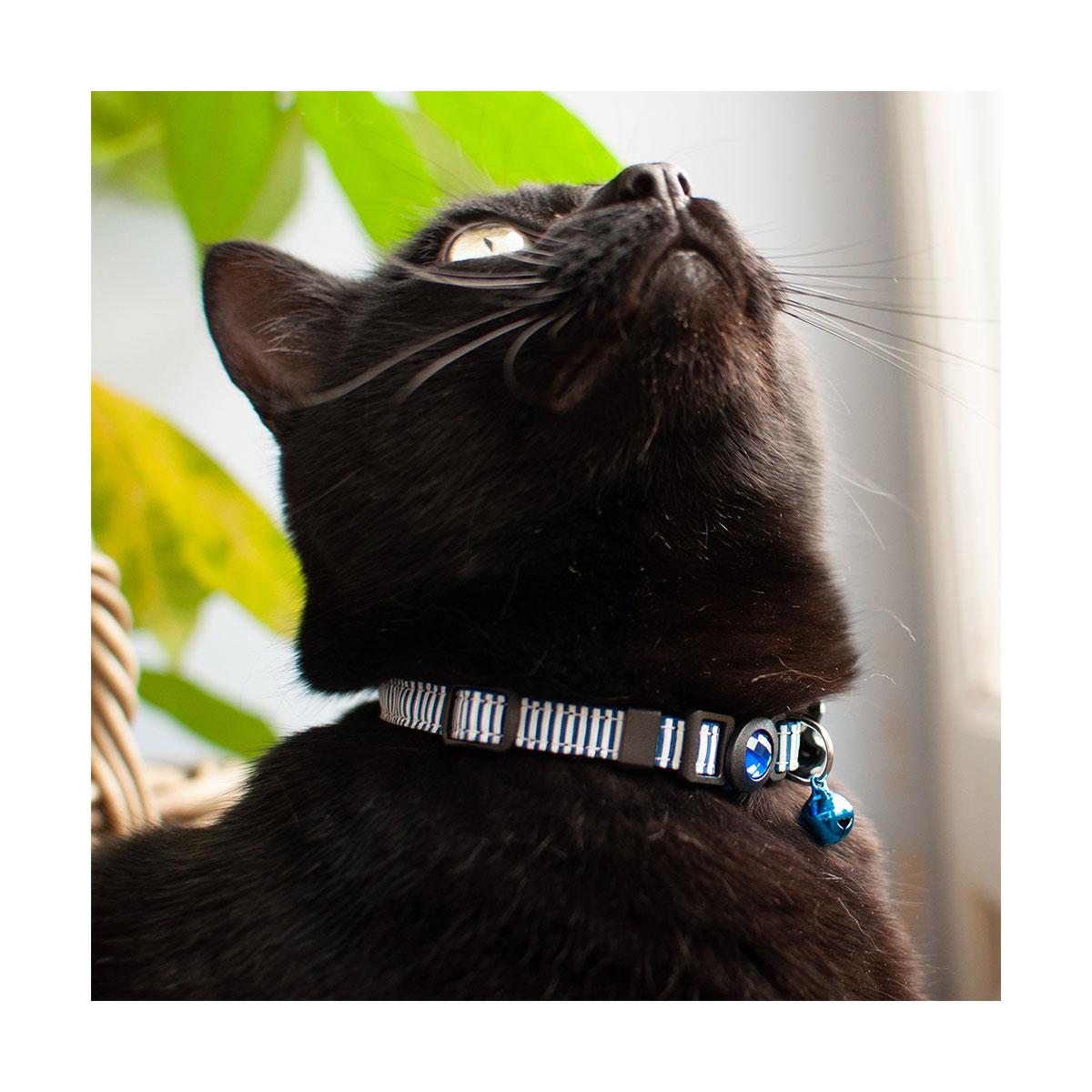 COLLIER CHAT AVEC NOEUD A POIS