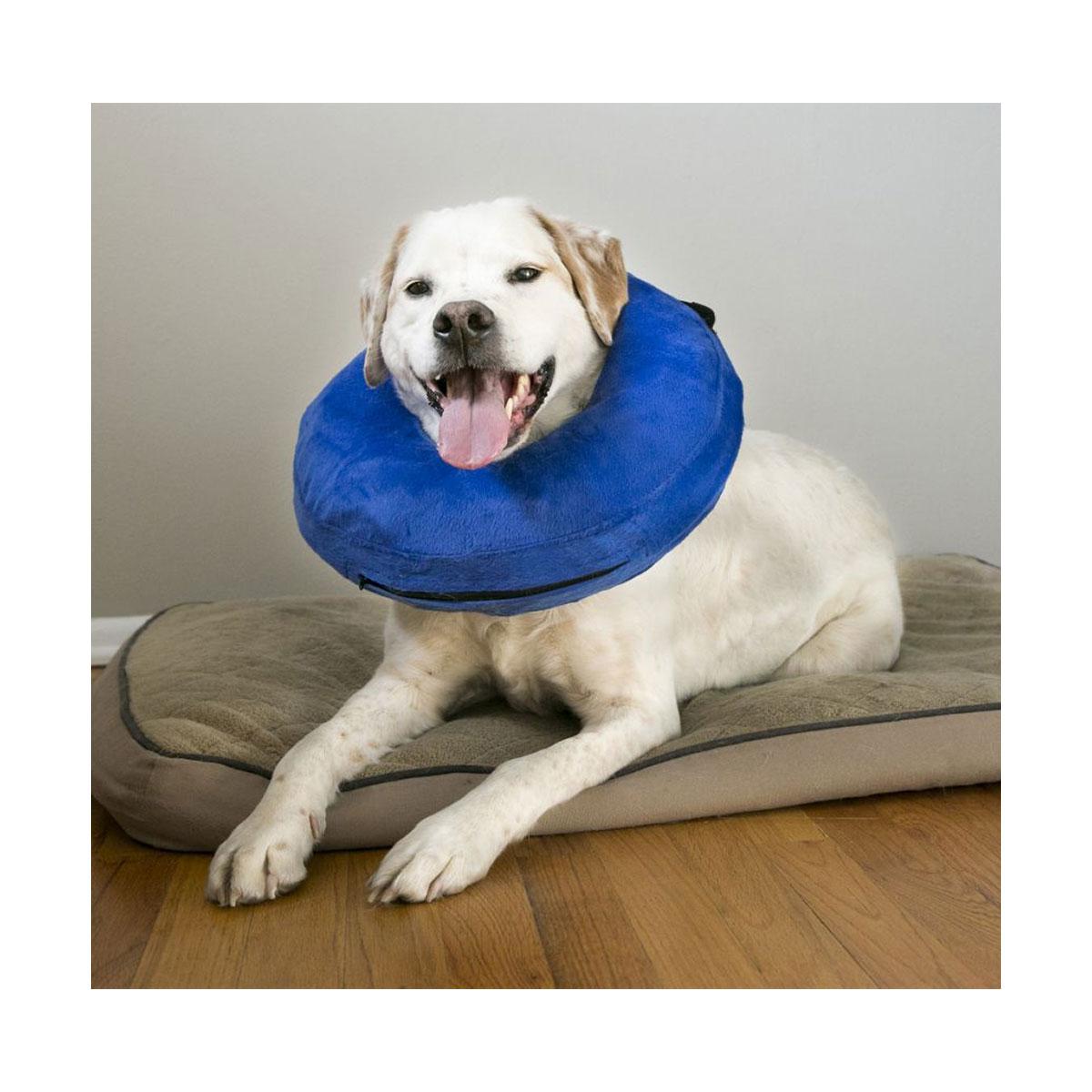 COLLIER GONFLABLE KONG CLOUD XS