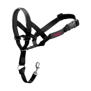 COLLIER HALTI NOIR T0