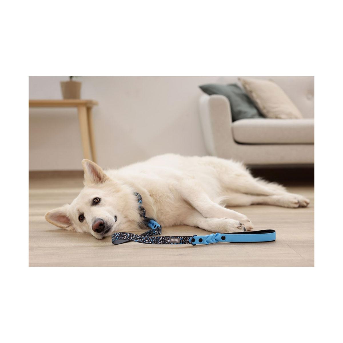 COLLIER LIMA 36-45 CM 25MM