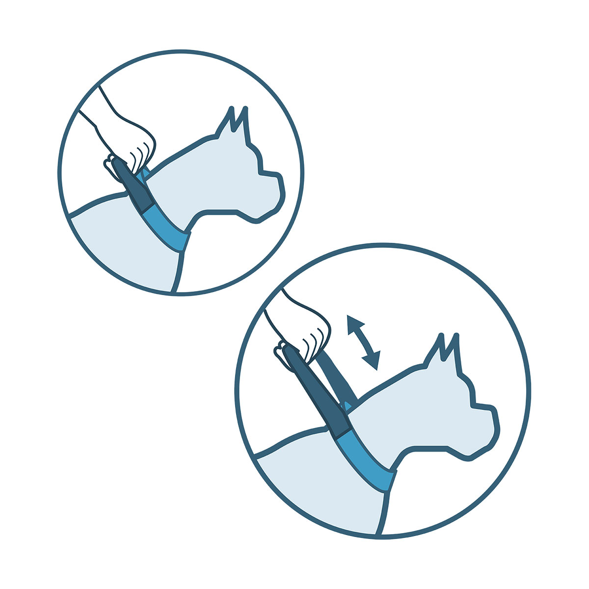 COLLIER POIGNEE GRAND CHIEN