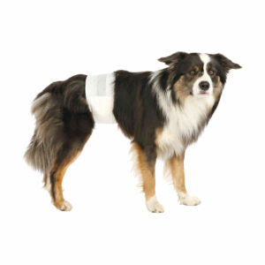 COUCHE CULOTTE S/M 30-46CMX12