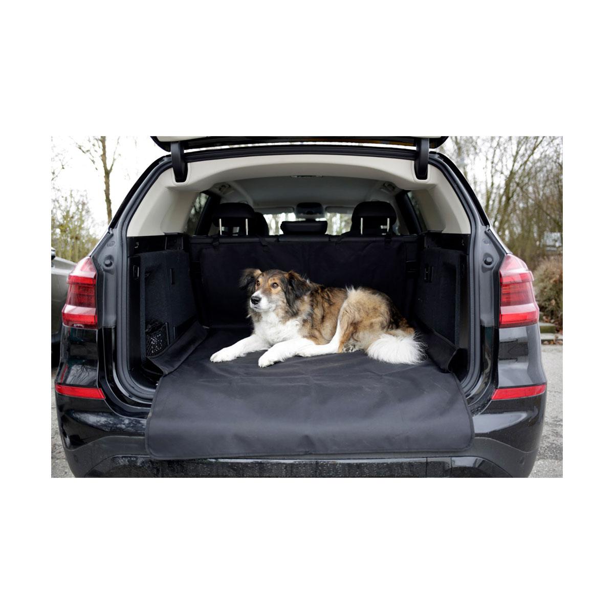 COUVERTURE DE PROTECTION ECONOMY