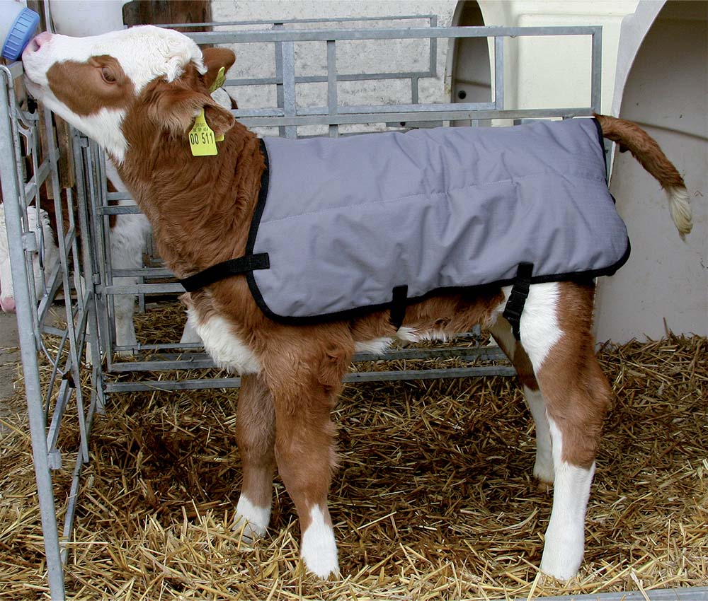 COUVERTURE POUR VEAU