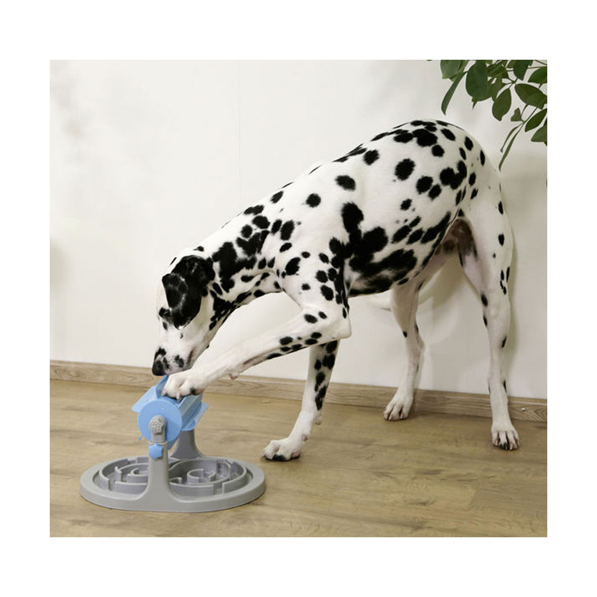 DISTRIBUTEUR ANTI GLOUTON CHIEN