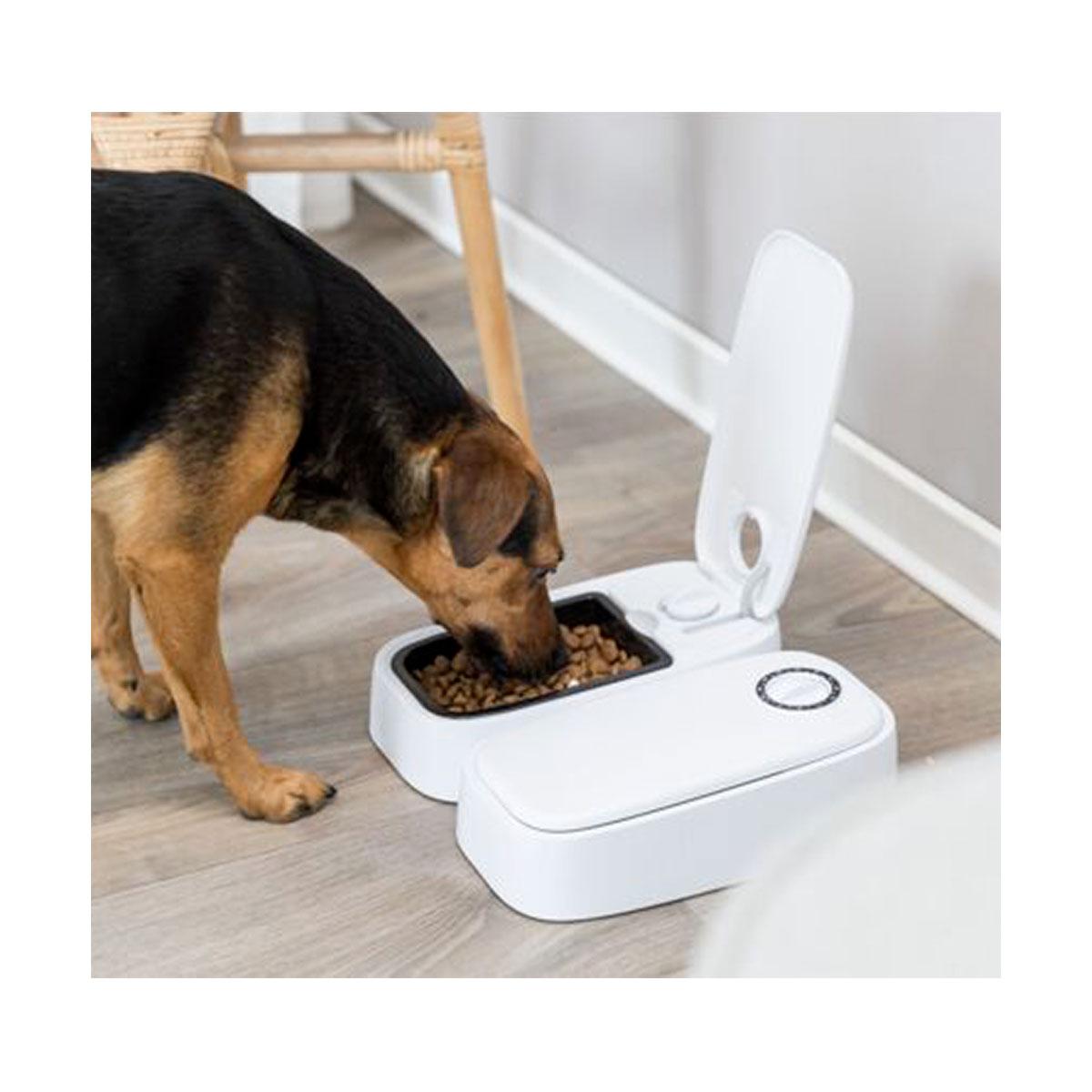 DISTRIBUTEUR AUTO.2 REPAS