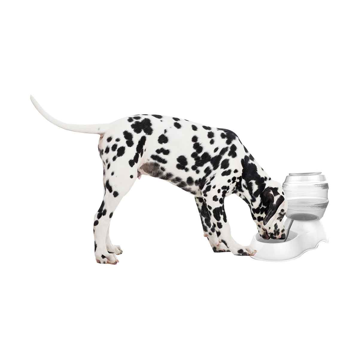 DISTRIBUTEUR EAU CYLINDER 3.5 L