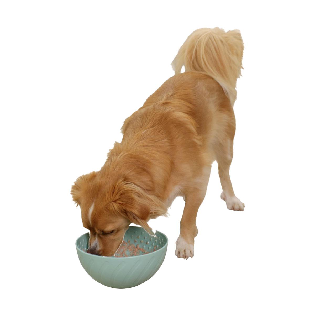 GAMELLE A LECHER TURQUOISE