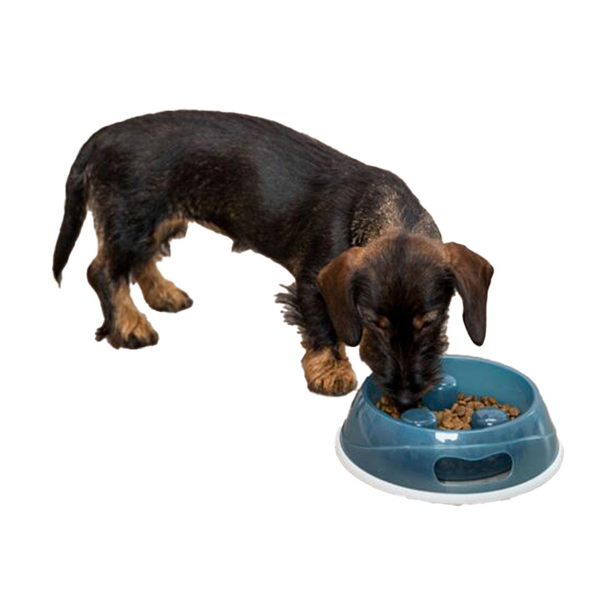 GAMELLE ANTI ETOUFF.0.45 L