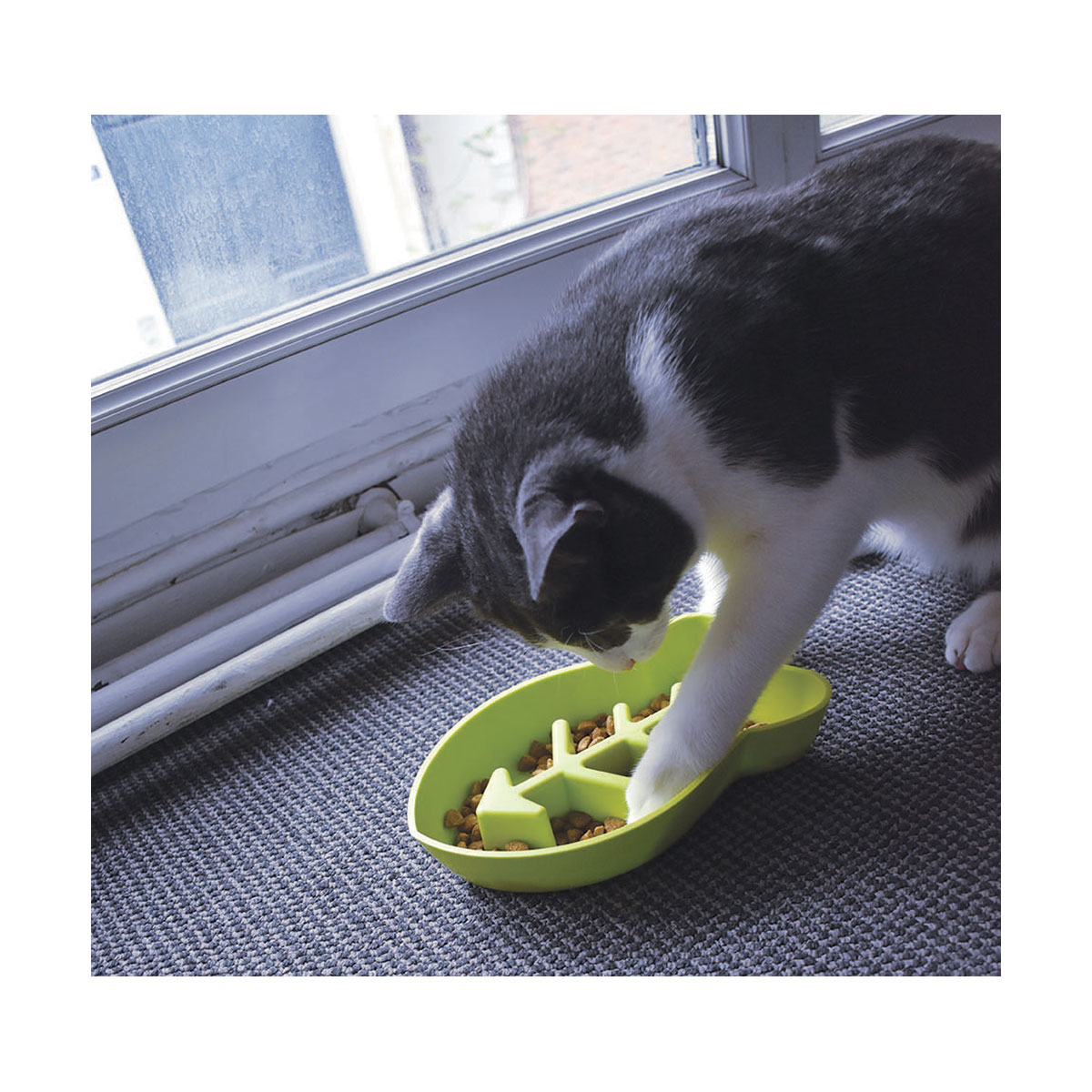 GAMELLE ANTI-GL.POISS.VERT 350ML