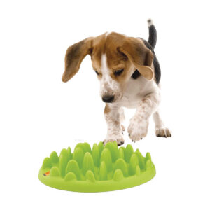 GAMELLE ANTI GLOUTON MINI