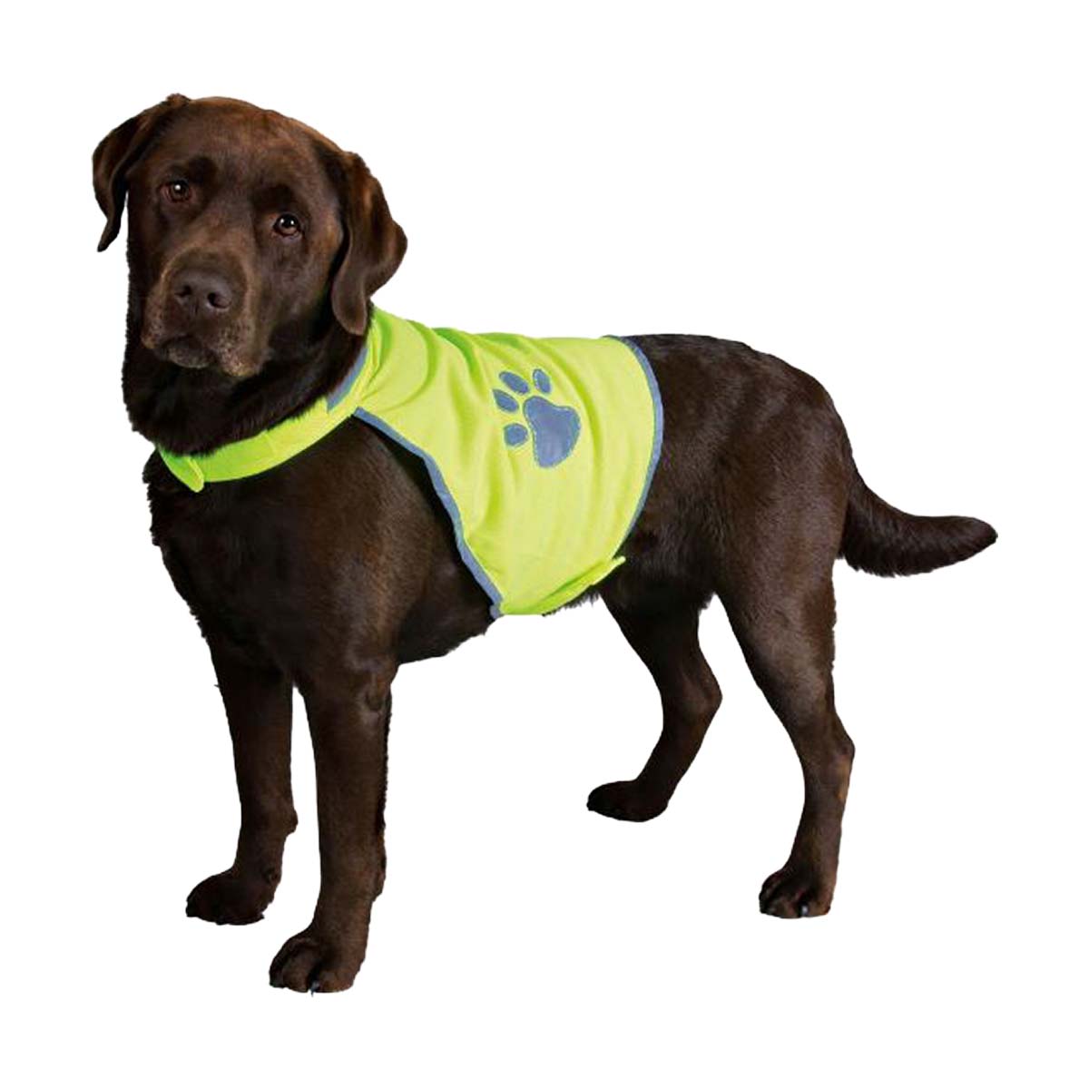 GILET SECURITE FLUO S