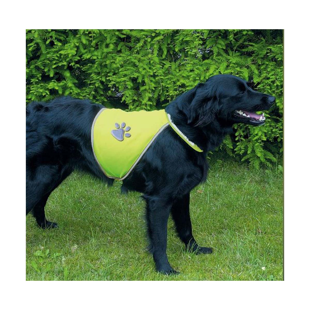 GILET SECURITE FLUO S