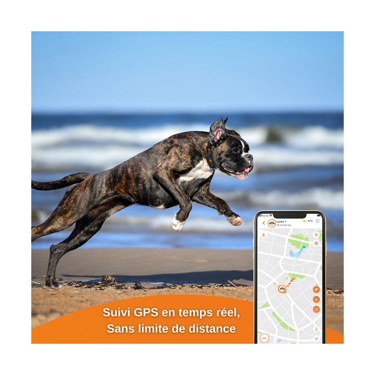 GPS WEENECT XS CHIEN