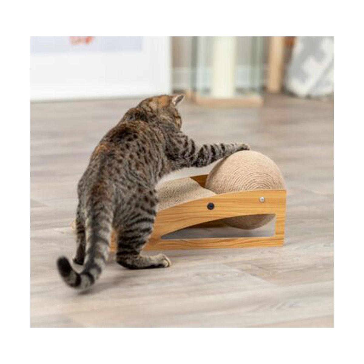 GRIFFOIR RAMPE AVEC BALLE