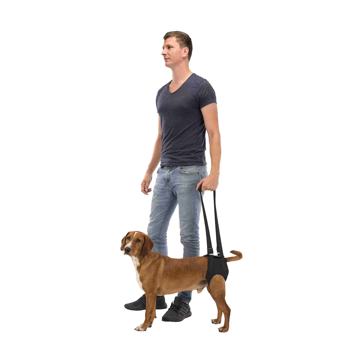 HARNAIS AIDE A LA MARCHE M