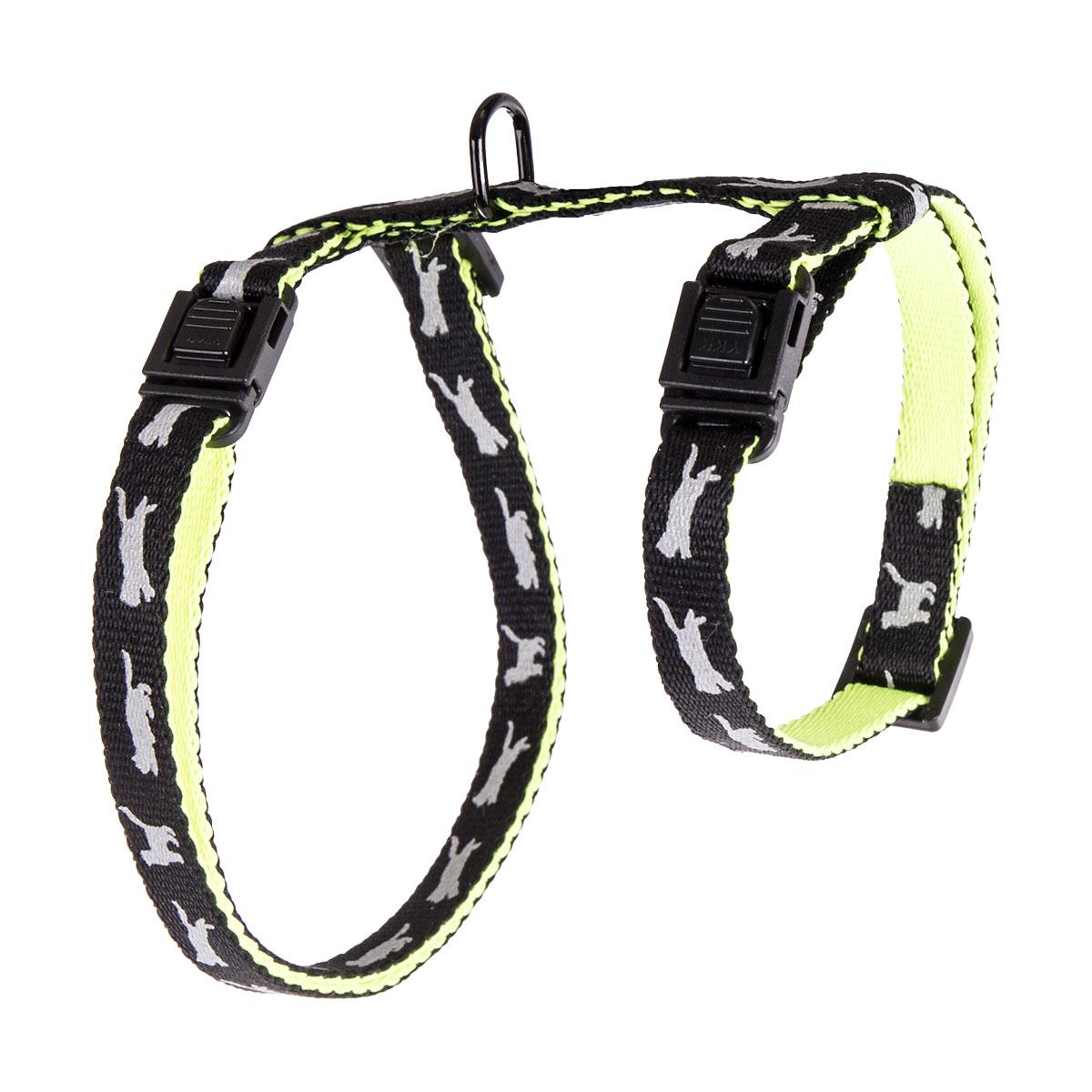 HARNAIS CHAT CAT BICOLOR