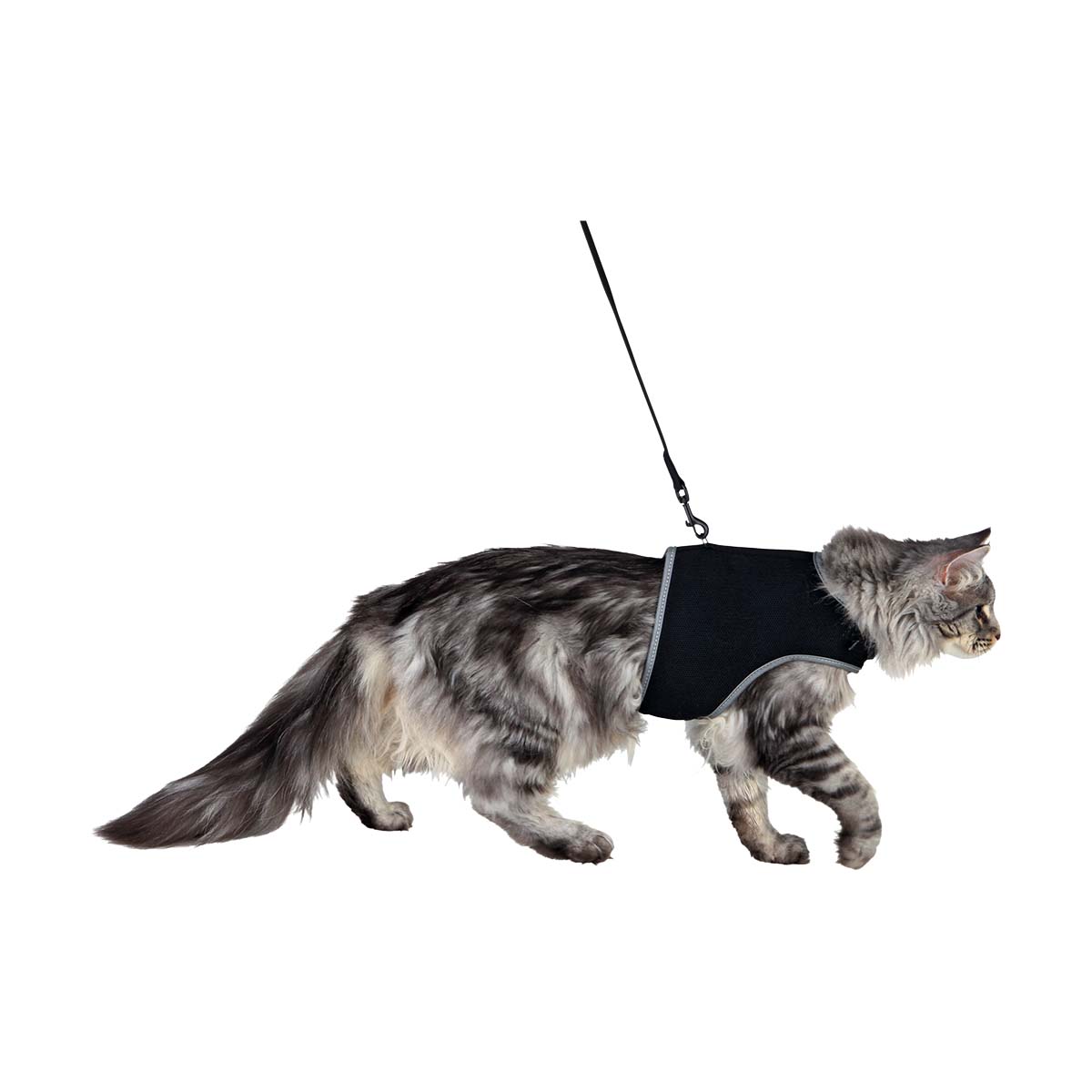 HARNAIS CHAT SOFT AVEC LAISSE