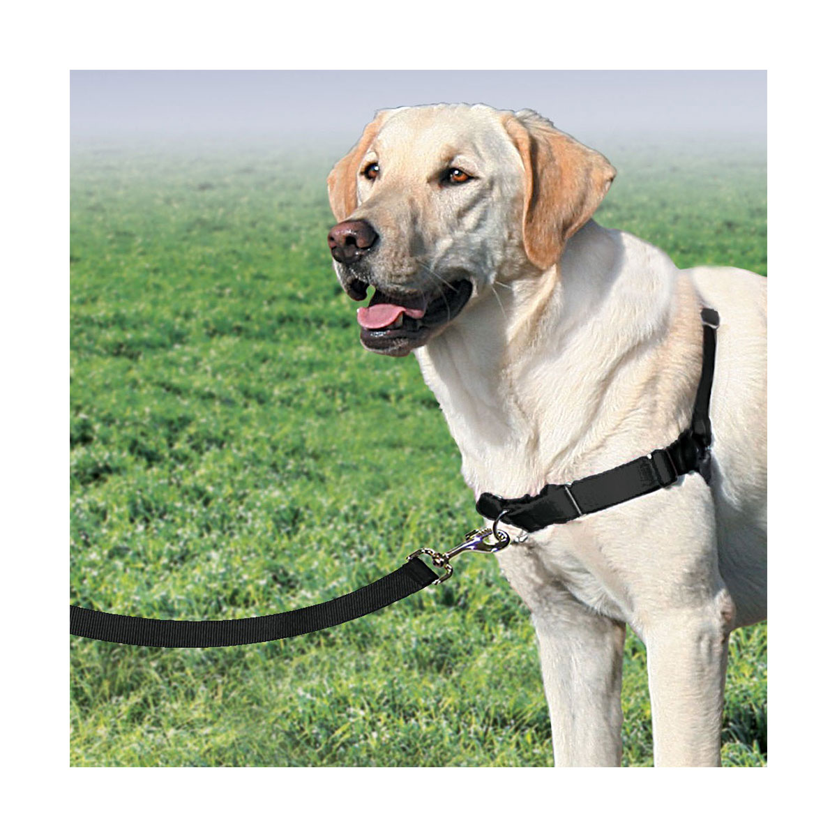 HARNAIS EASY WALK L NOIR