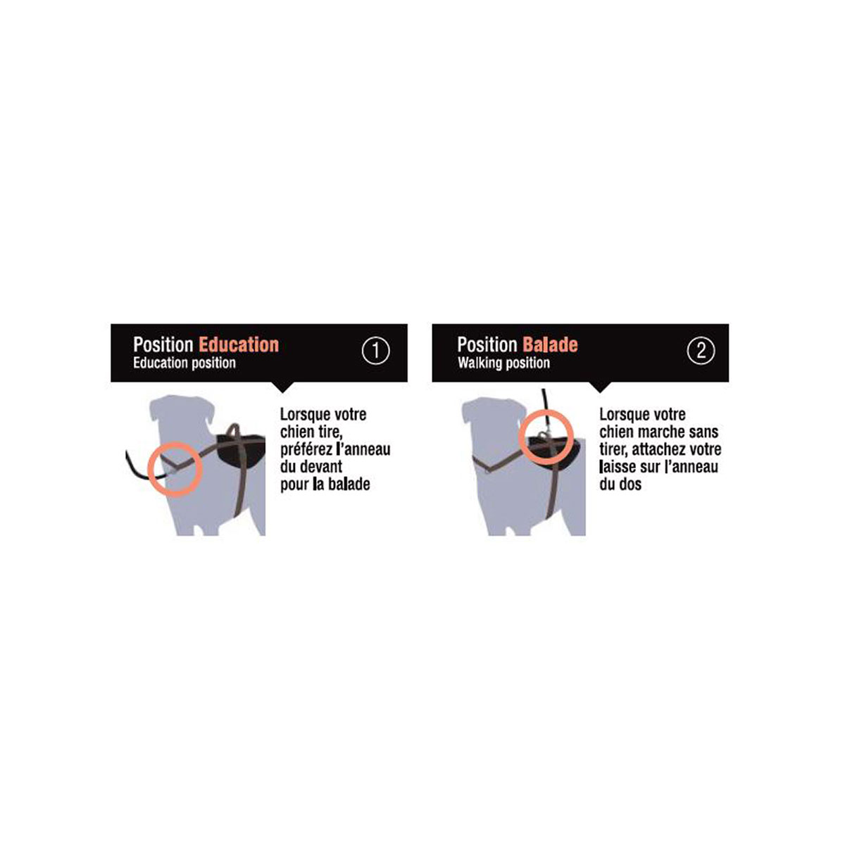 HARNAIS HOP&STOP ARKA S