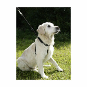 HARNAIS MAXI LEADER T1 25-30CM