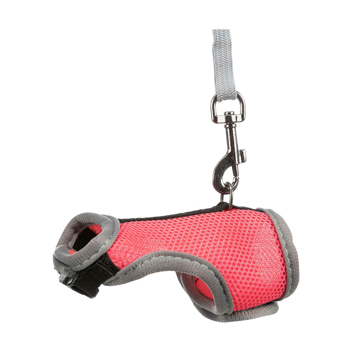 HARNAIS RAT SOFT AVEC LAISSE