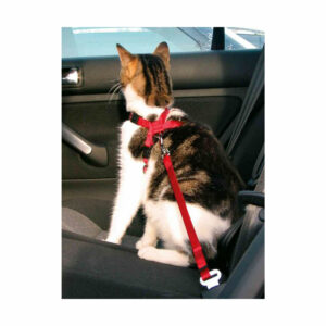 HARNAIS SECURITE AUTO CHAT