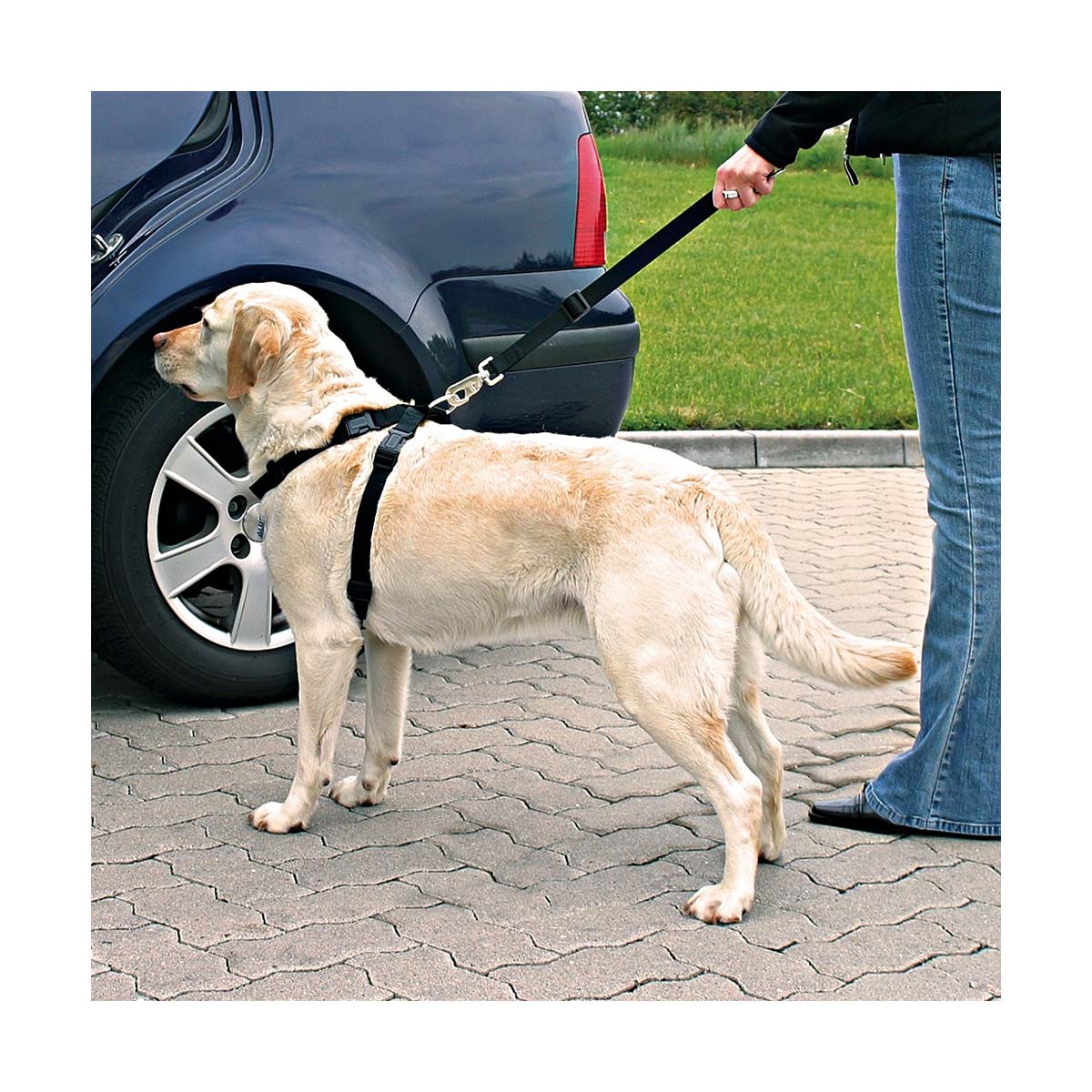 HARNAIS SECURITE AUTO M