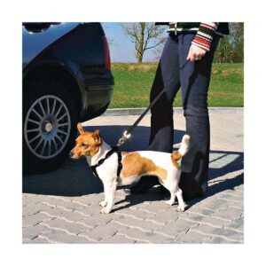 HARNAIS SECURITE AUTO S