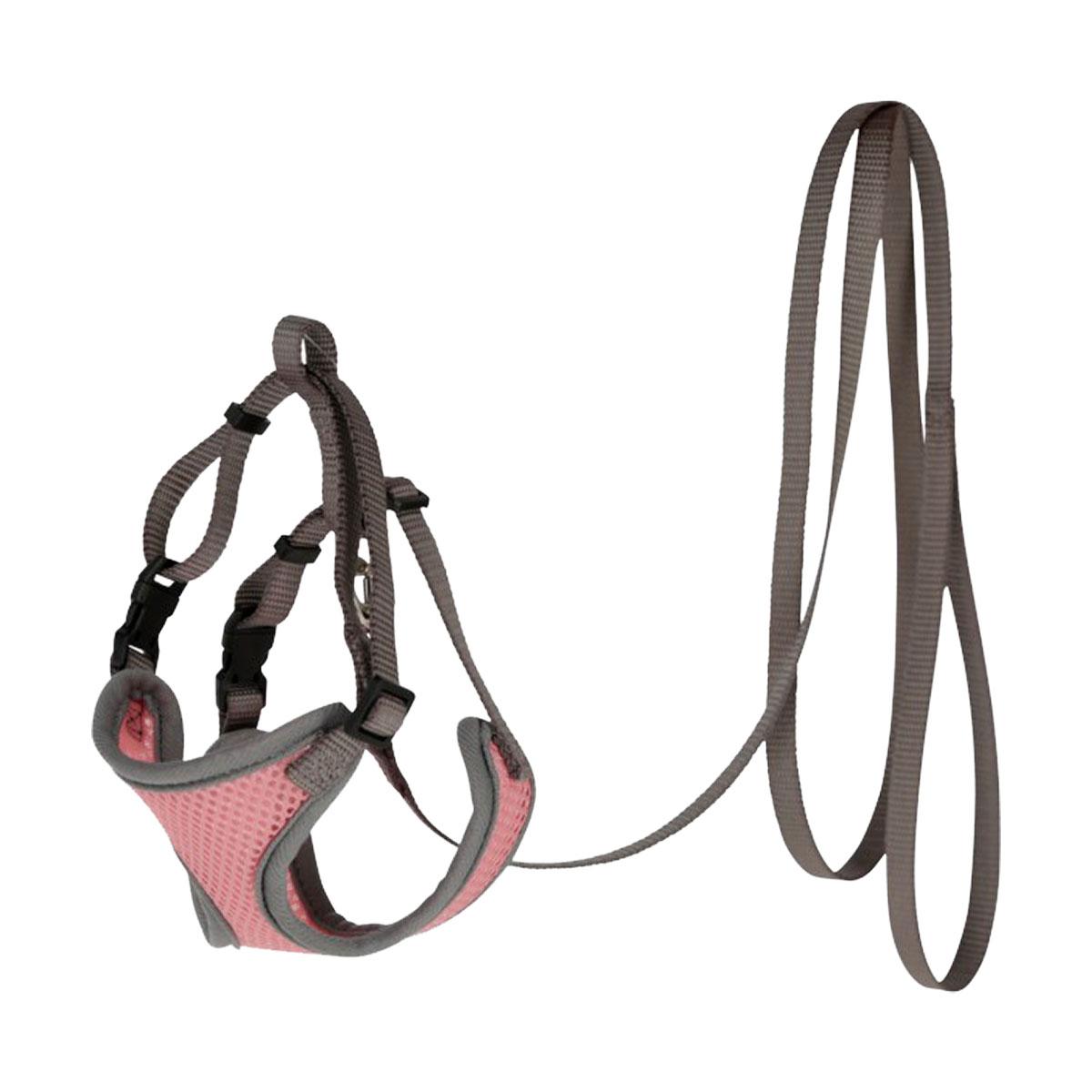 HARNAIS+LAISSE CHAT CORAIL