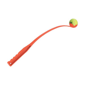 JEU LANCEUR DE BALLE MAXI SPEED