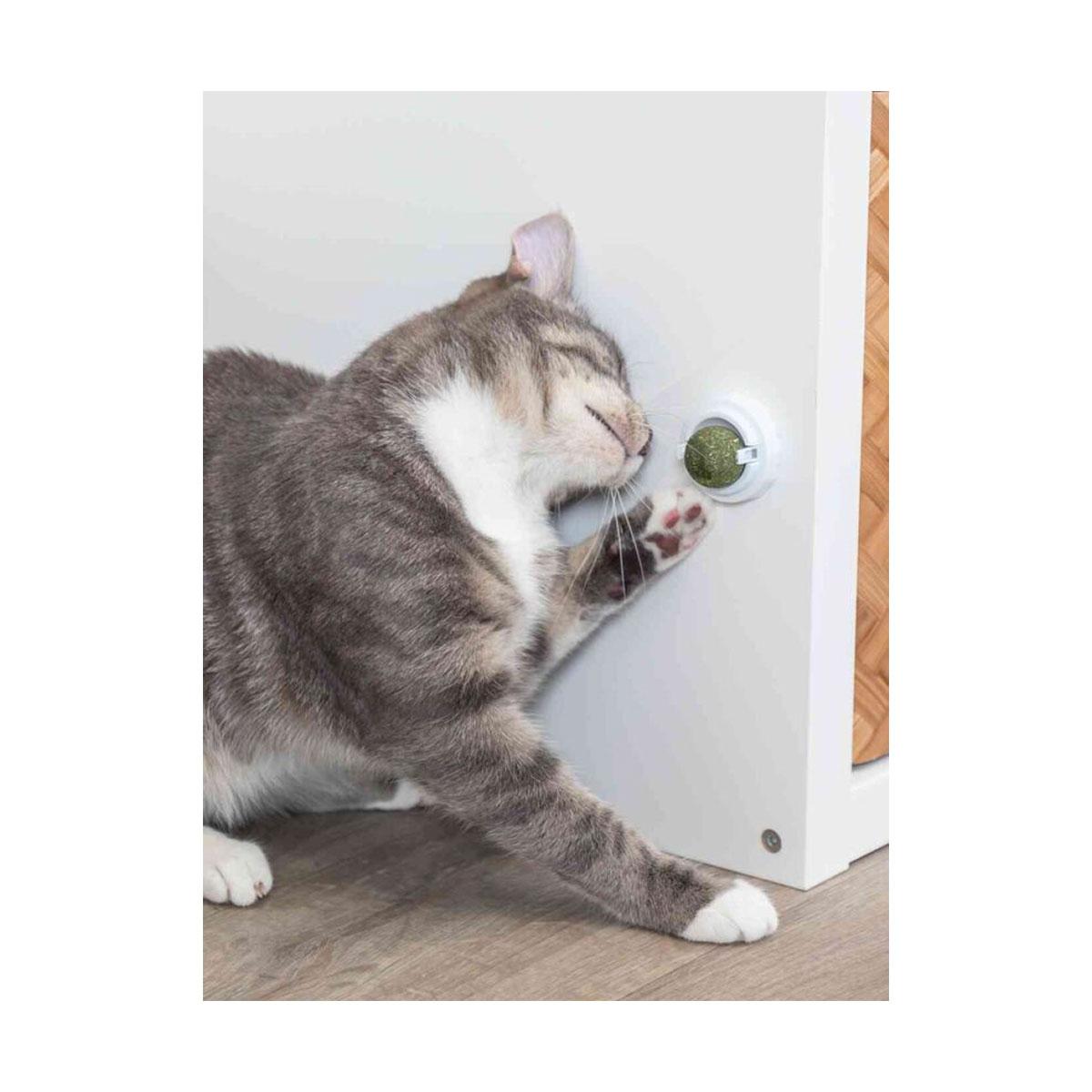 JOUET BALLE HERBE A CHAT+SUPPORT