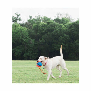 JOUET BALLON 3 EN 1 ROPE FETCH