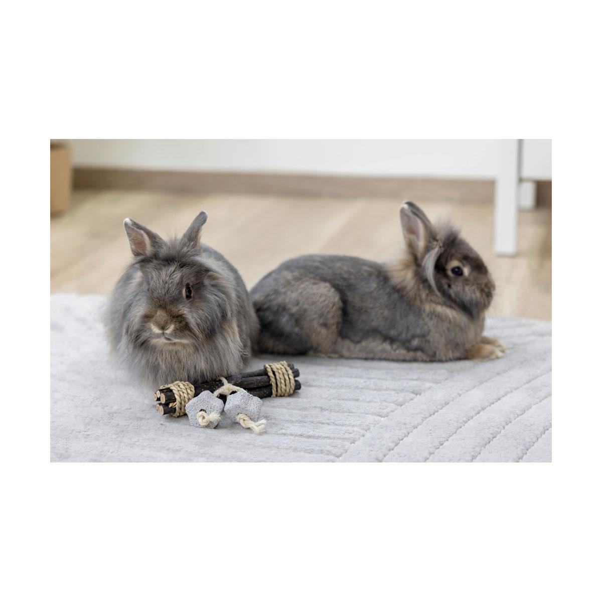 JOUET BOIS&PIERRE DE LAVE NAC