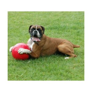 JOUET BOOMER BALL 100 MM