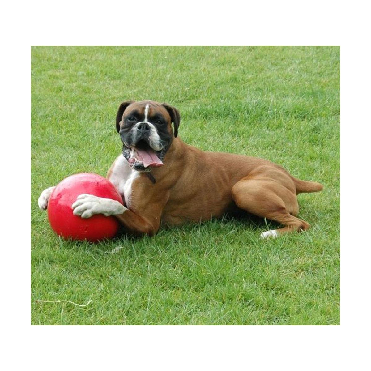 JOUET BOOMER BALL 100 MM