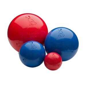 JOUET BOOMER BALL 100 MM