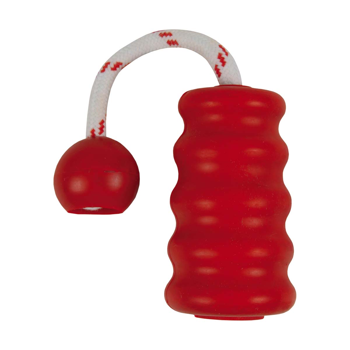 JOUET CAOUTCHOUC FLOTTANT