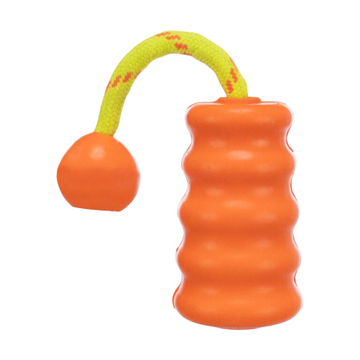 JOUET CAOUTCHOUC FLOTTANT